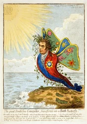 The Great South Sea Caterpillar, Transformed into a Bath Butterfly